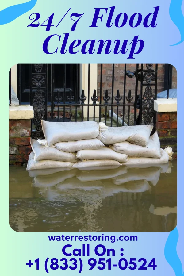 24/7 Flood Cleanup in Mine La Motte, MO