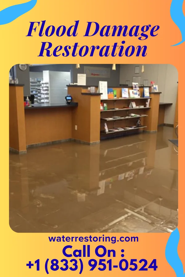 Flood Damage Restoration in Mine La Motte, MO
