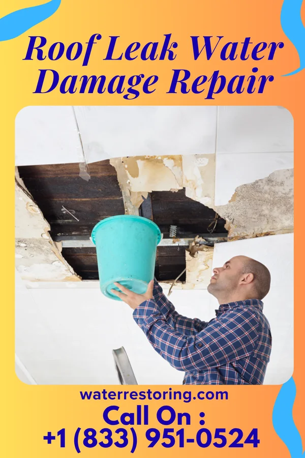Roof Leak Water Damage Repair in Mine La Motte, MO