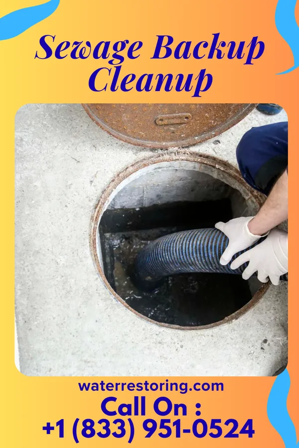 Sewage Backup Cleanup in Mine La Motte, MO